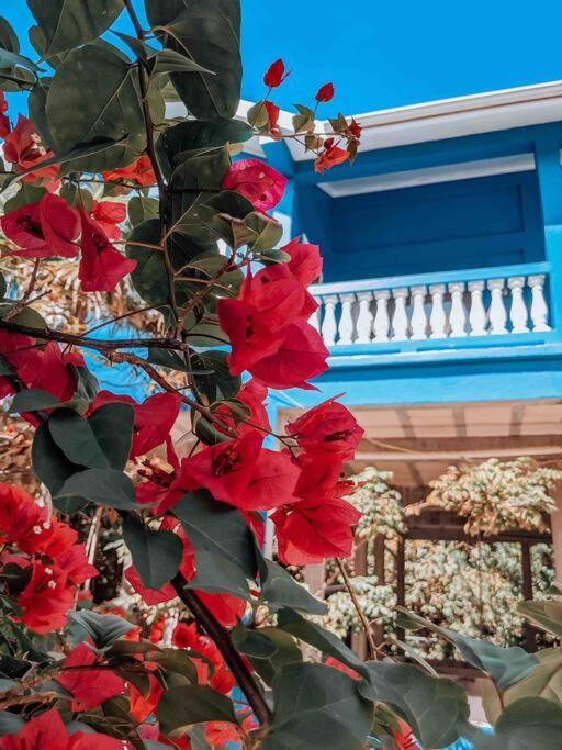 Vacation Home Blue Lotus Кей-Колкер Экстерьер фото